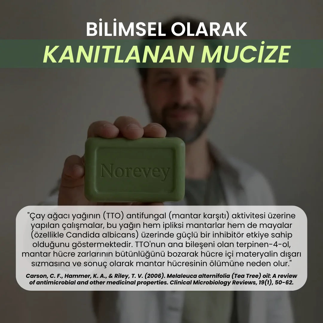 Norevey Yoğun Arındırıcı Çay Ağacı Yağı Bakım Sabunu