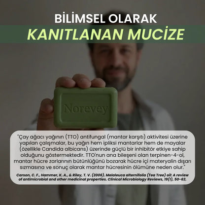 Norevey Yoğun Arındırıcı Çay Ağacı Yağı Bakım Sabunu
